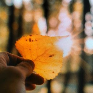 Meet your Posher, Lynette